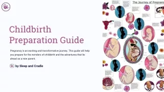 Childbirth Preparation Guide