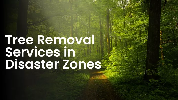 tree removal services in disaster zones