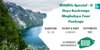 Wildlife Special - 8 Days Kaziranga Meghalaya Tour Package