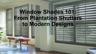 Window Shades 101: From Plantation Shutters to Modern Designs