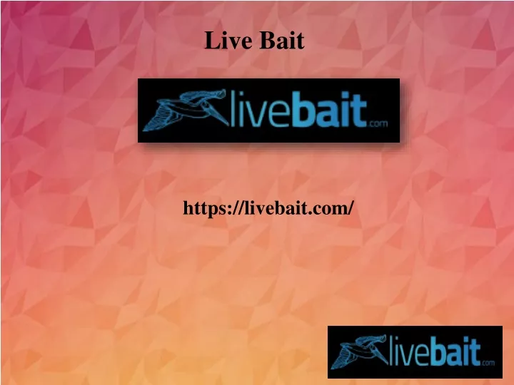 live bait