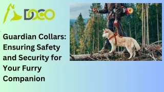 Guardian Collars Ensuring Safety and Security for Your Furry Companion