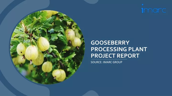 gooseberry processing plant project report source