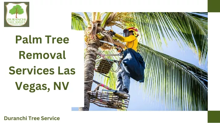 palm tree removal services las vegas nv