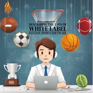 white label fantasy sports software (2)