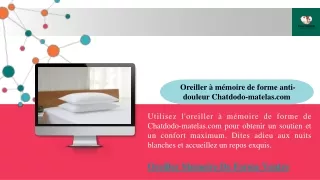 oreiller m moire de forme anti douleur chatdodo