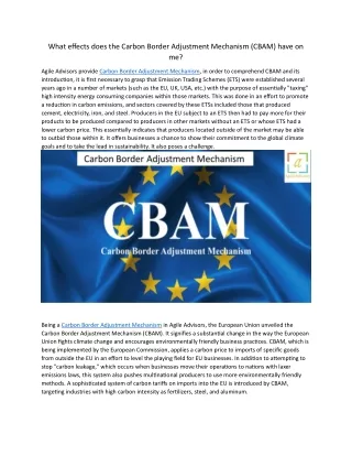 what effects does the carbon border adjustment