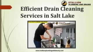 Efficient Drain Cleaning Services in Salt Lake