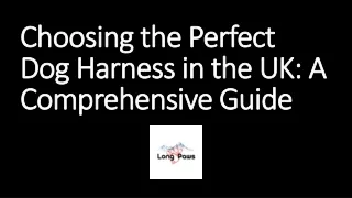 Choosing the Perfect Dog Harness in the UK A Comprehensive Guide