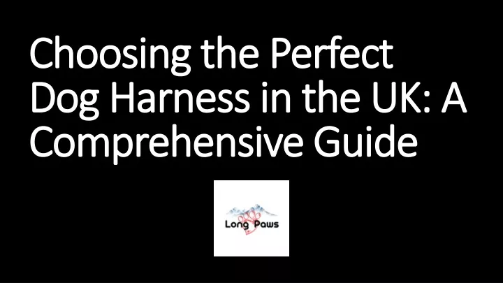 choosing the perfect dog harness in the uk a comprehensive guide