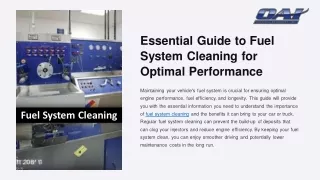essential guide to fuel system cleaning