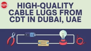 High-Quality Cable Lugs from CDT in Dubai, UAE
