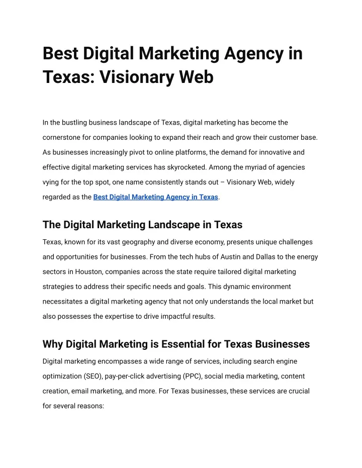 best digital marketing agency in texas visionary