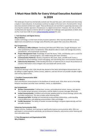 Must-Have Skills for Every Virtual Executive Assistant