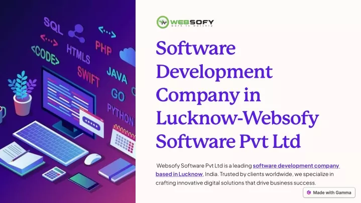 software development company in lucknow websofy