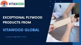 Innovative Plywood Products by VitaWood Global