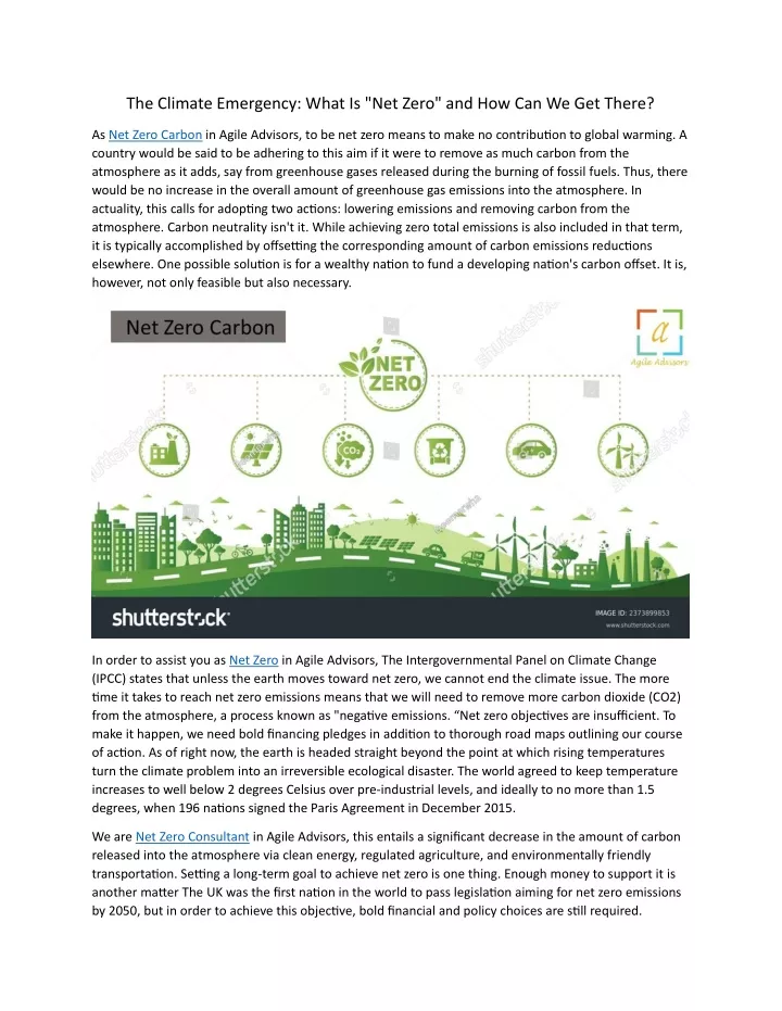 the climate emergency what is net zero