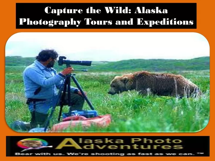 capture the wild alaska photography tours