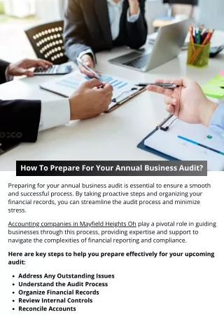 How To Prepare For Your Annual Business Audit?