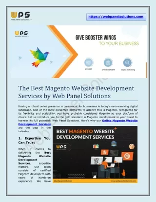 Magento & Laravel Website Development Services - Web Panel Solutions