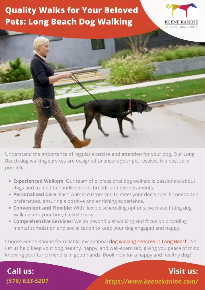 quality walks for your beloved pets long beach