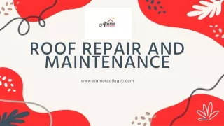 ALAMO ROOFING LLC (Roof Repair and Maintenance)