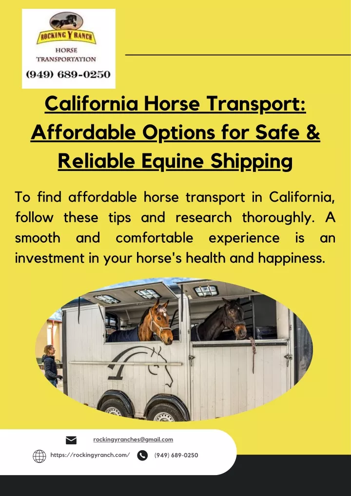 california horse transport affordable options