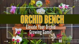 Orchid Bench: Elevate Your Orchid Growing Game!