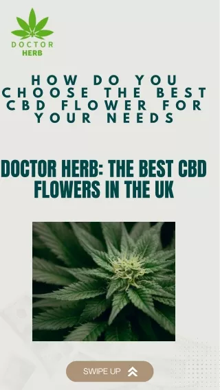How Do You Choose the Best CBD Flower