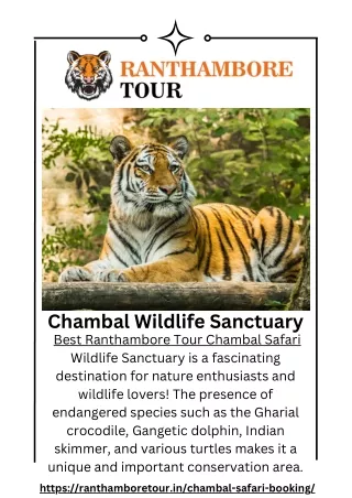 Ranthambore Tour Chambal Safari Sawai Madhopur