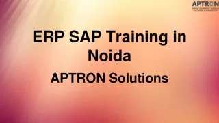 ERP SAP Training in Noida