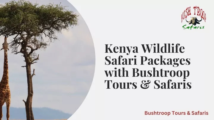 kenya wildlife safari packages with bushtroop