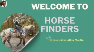 Premium Horses for Sale | Trusted Horse Sales Experts