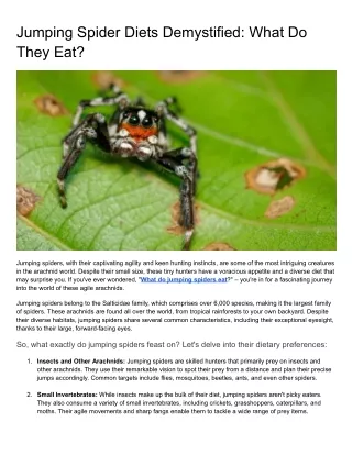 Jumping Spider Diets Demystified_ What Do They Eat (1)