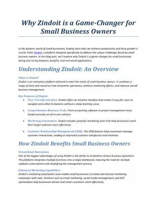 why zindoit is a game changer for small business