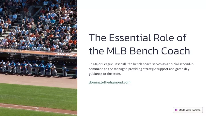 the essential role of the mlb bench coach