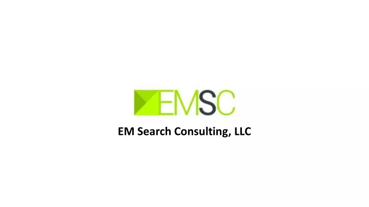 em search consulting llc