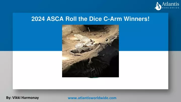 2024 asca roll the dice c arm winners