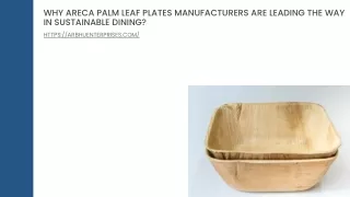 Why Areca Palm Leaf Plates Manufacturers Are Leading the Way in Sustainable Dining