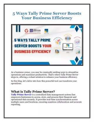 5 Ways Tally Prime Server Boosts Your Business Efficiency