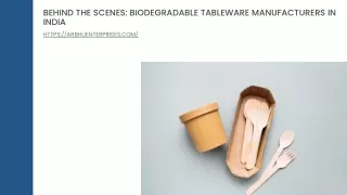 Behind the Scenes Biodegradable Tableware Manufacturers in India