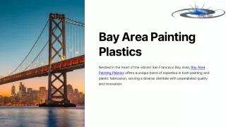 Bay Area Painting Plastics