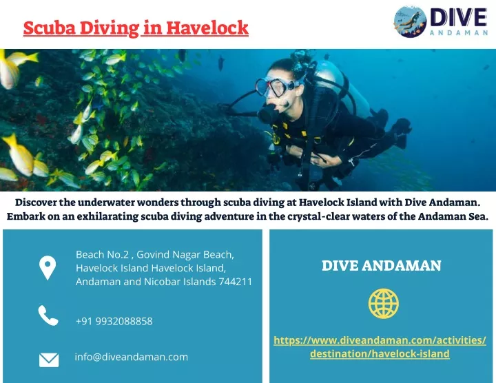 scuba diving in havelock