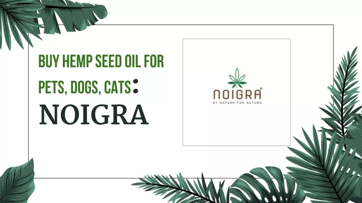 buy hemp seed oil for pets dogs cats noigra