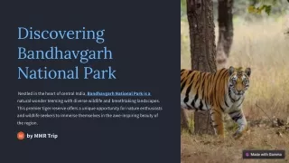 How to Reach Bandhavgarh National Park