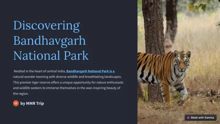 discovering bandhavgarh national park