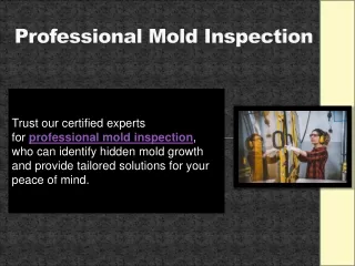 Professional Mold Inspection