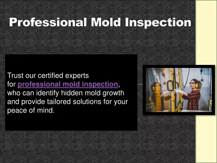 professional mold inspection