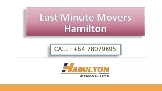 Last Minute Movers Hamilton