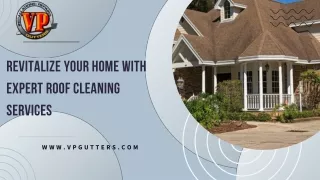 Revitalize Your Home with Expert Roof Cleaning Services
